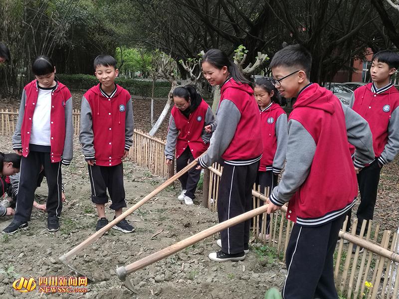 桃仁生吃功效yw193亚洲中文字幕无码一区，解锁天然健康宝库的神秘力量