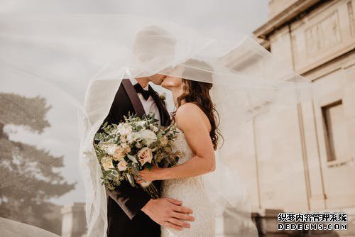 红玫瑰花女人荫蒂被添全过程A片免费，爱情的炽热象征与永恒之谜